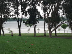 Archipelago (D16), Condominium #155727472